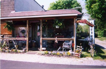 Elmer Borough - Peggy's Flowers